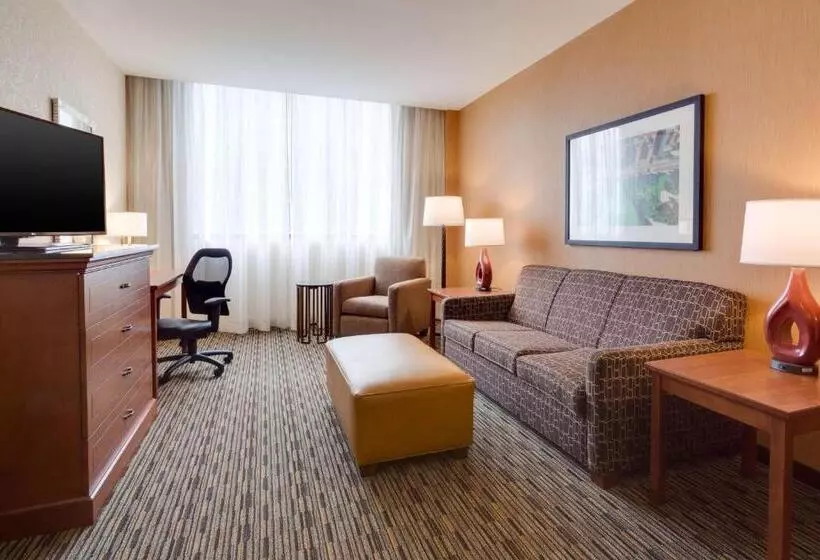 身障者適用スイートルーム, Drury Plaza St Louis At The Arch