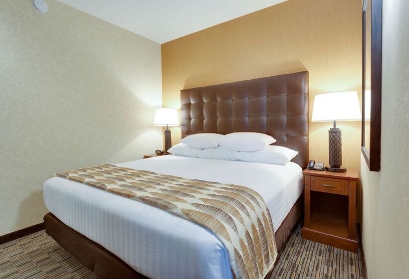 اتاق دلوکس مخصوص معلولین, Drury Plaza St Louis At The Arch