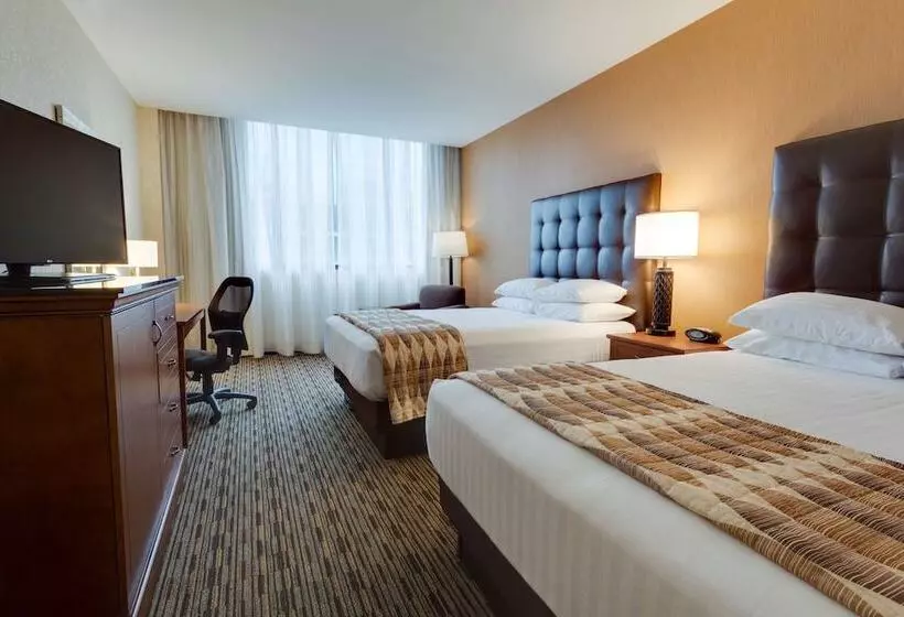 景色の見えるデラックスルーム, Drury Plaza St Louis At The Arch