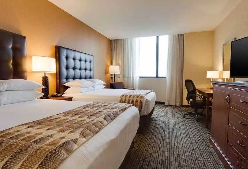 景色の見えるデラックスルーム, Drury Plaza St Louis At The Arch