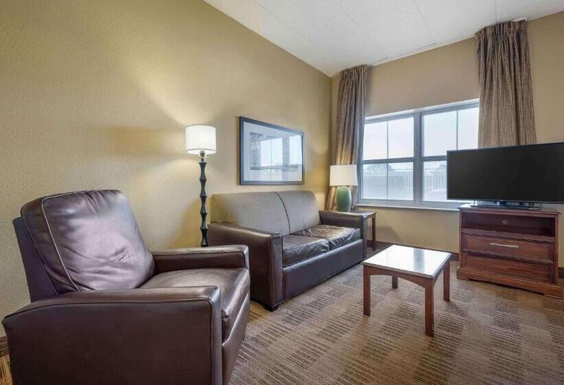 إستوديو ديلوكس, Extended Stay America Suites  Chicago  O Hare  Allstate Arena