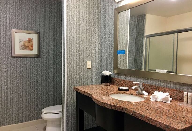 스탠다드 룸, Hampton Inn & Suites Tulsa/central