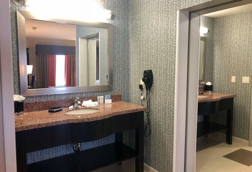 스탠다드 스튜디오 킹침대, Hampton Inn & Suites Tulsa/central
