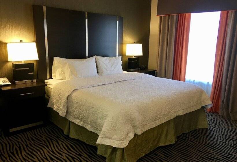 إستوديو قياسى سرير كينج, Hampton Inn & Suites Tulsa/central