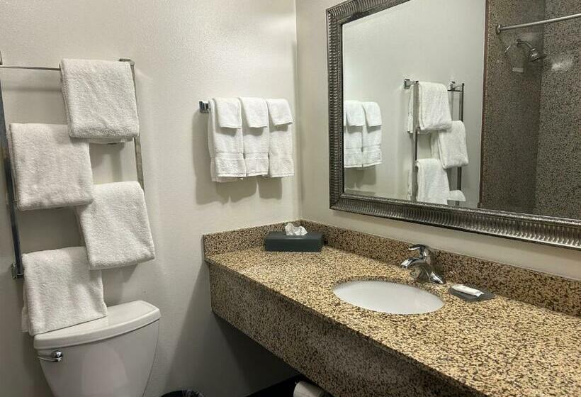 اتاق استاندارد با تخت بزرگ, La Quinta By Wyndham Bozeman