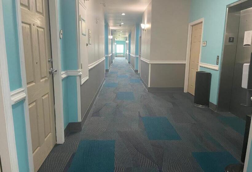 Номер Executive Кровать Кинг, La Quinta Inn & Suites By Wyndham Raymondville