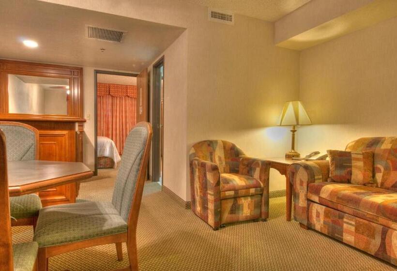 اتاق استاندارد با تخت بزرگ, Mcm Elegante Suites Abilene