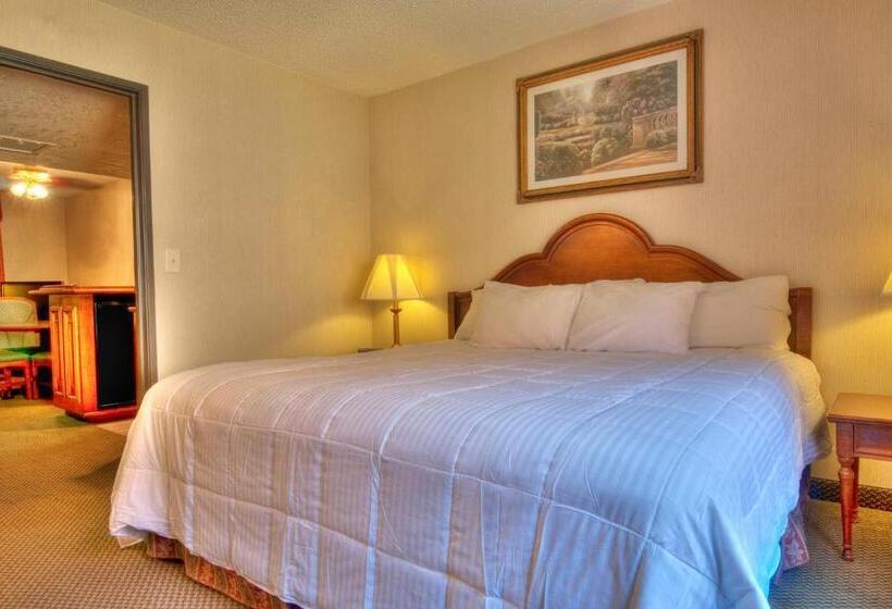 غرفة قياسية سرير كينج, Mcm Elegante Suites Abilene
