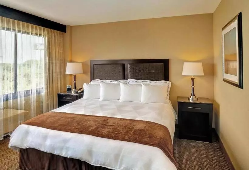 キングサイズベッドのデラックススイート, Radisson Hotel Freehold