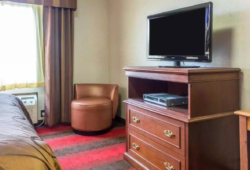 キングサイズベッドのスタンダードルーム, Rodeway Inn Capri