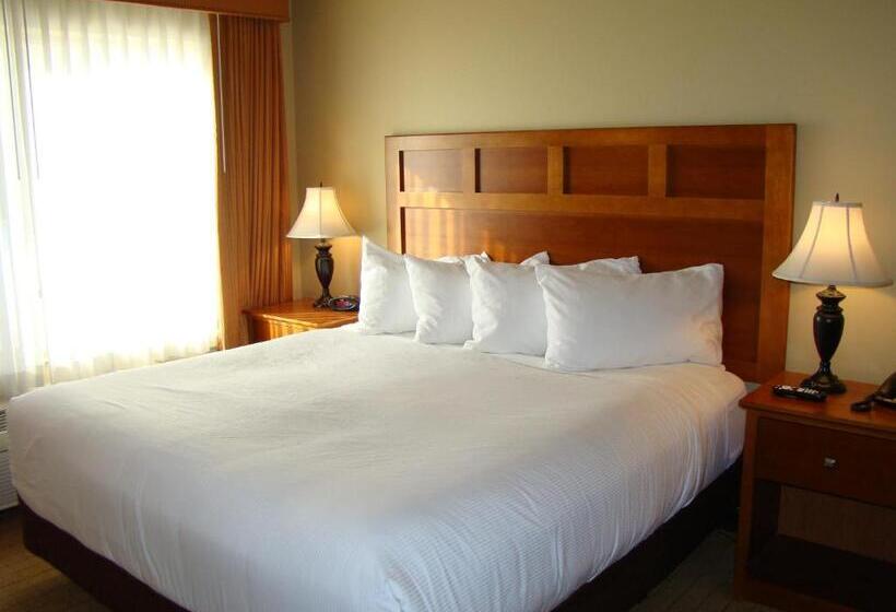 سوئیت با تخت بزرگ, Stonecreek Lodge