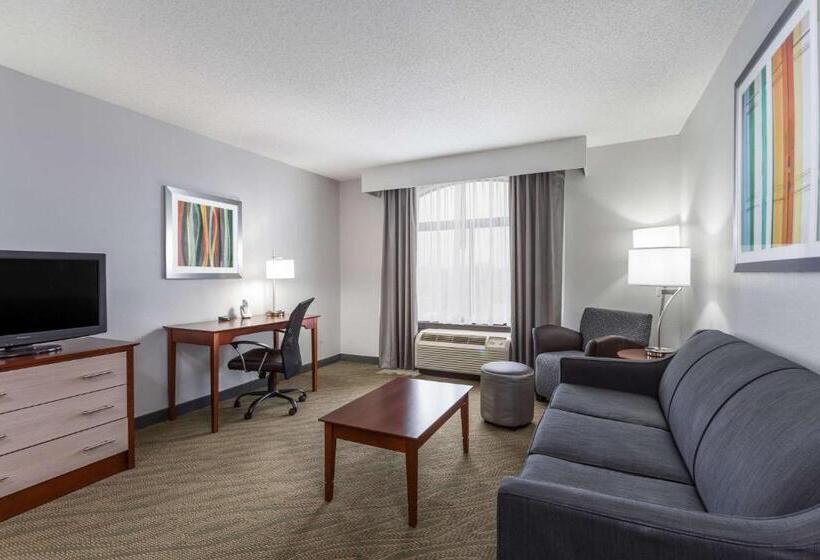 Люкс Executive Кровать Кинг, Wingate By Wyndham Chesapeake