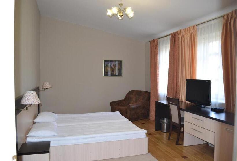 غرفة قياسية, Mini Hotel Under The Roof