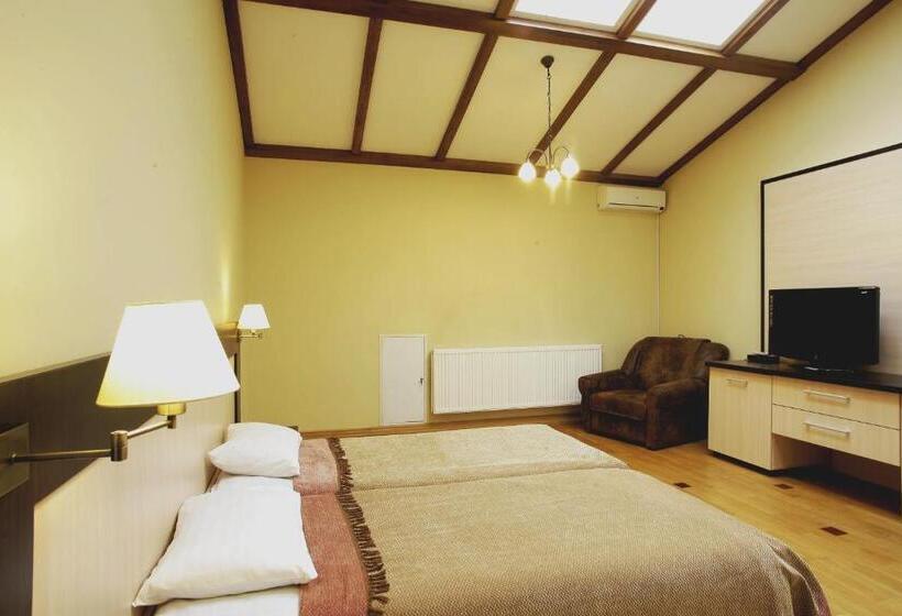 غرفة إقتصادية, Mini Hotel Under The Roof