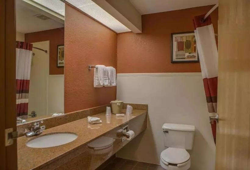 キングサイズベッドのスタンダードルーム, Red Roof Inn Pharr  Mcallen
