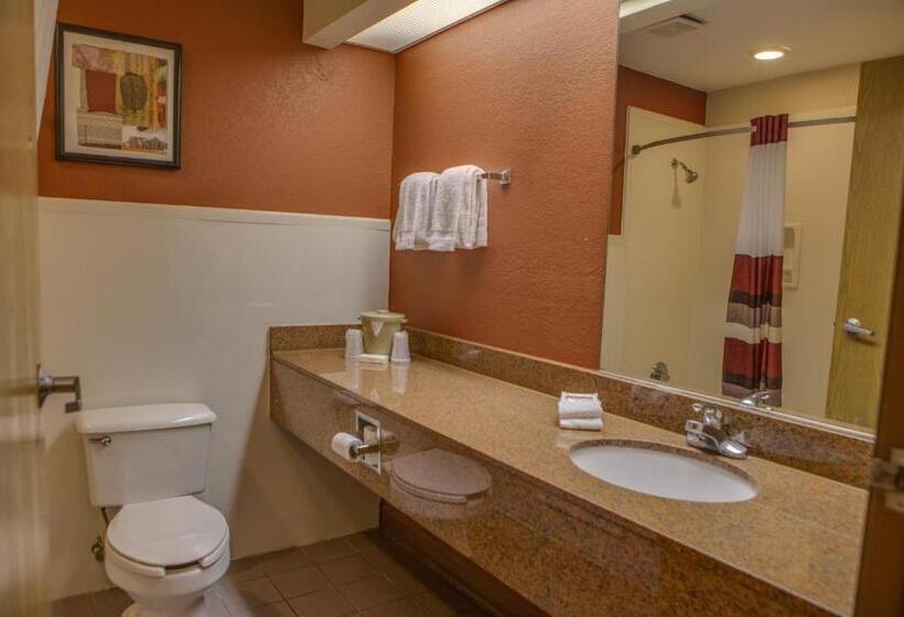 디럭스 룸 킹사이즈 침대, Red Roof Inn Pharr  Mcallen