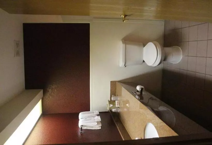 身障者適用スタンダードルーム, Red Roof Inn Pharr  Mcallen