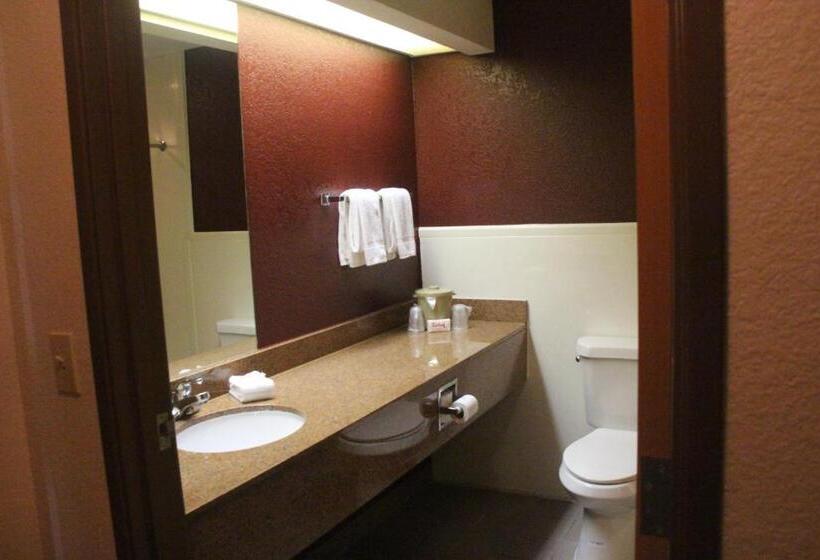 适合残疾人使用的标准间, Red Roof Inn Pharr  Mcallen