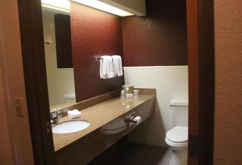 身障者適用スタンダードルーム, Red Roof Inn Pharr  Mcallen