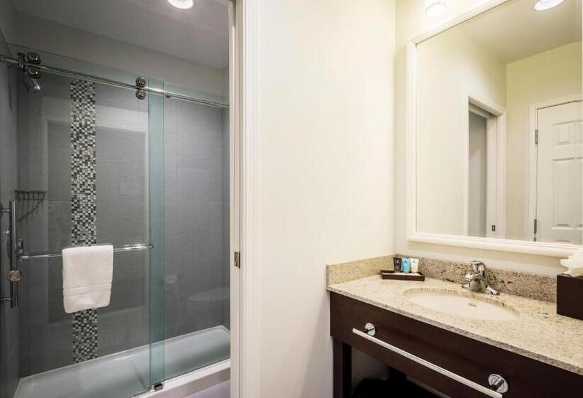 جناح ديلوكس سرير كينج, Nationwide Hotel And Conference Center