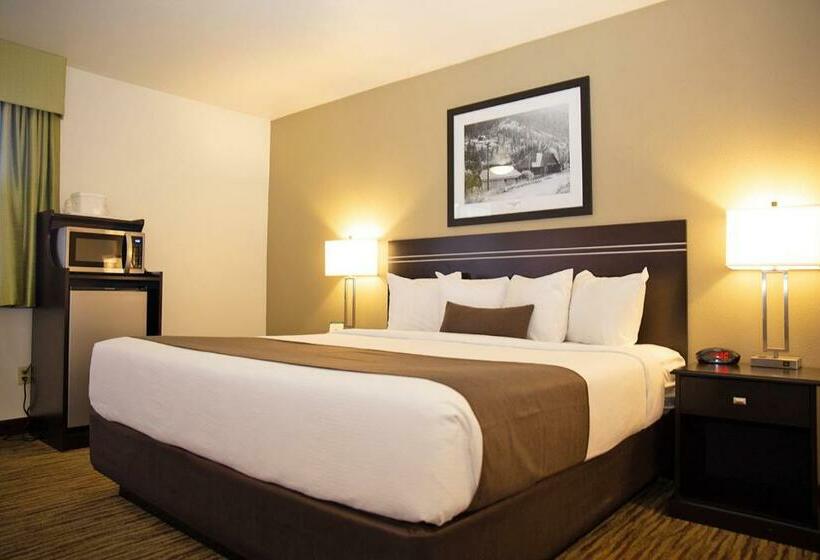 غرفة قياسية سرير كينج, Villa Motel At Manitou Springs
