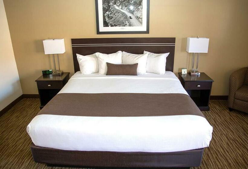 غرفة قياسية سرير كينج, Villa Motel At Manitou Springs