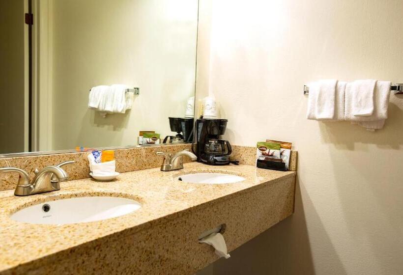 غرفة قياسية سرير كينج, Villa Motel At Manitou Springs