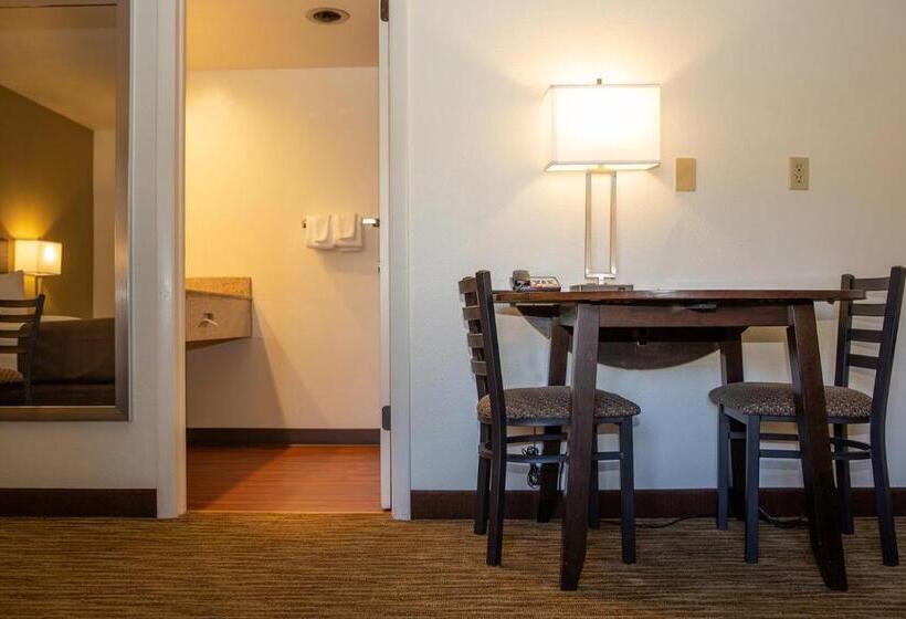 غرفة قياسية سرير كينج, Villa Motel At Manitou Springs