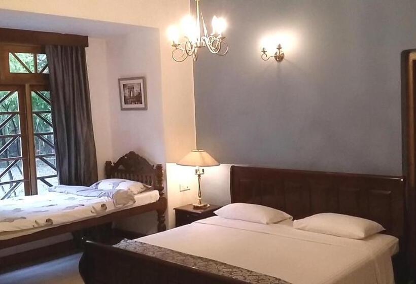 Трехместный Номер Deluxe, Mount Pleasant