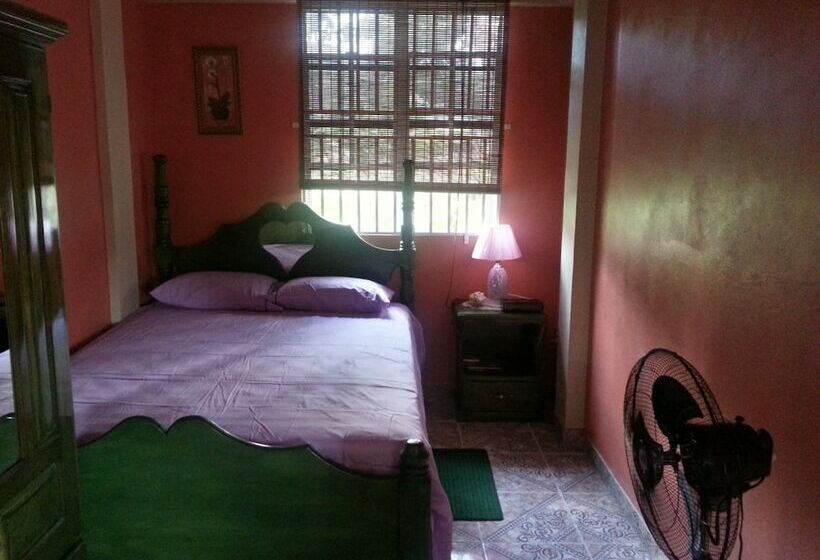 Economy Studio, The Nixon's Bay Side Mangrove Inn