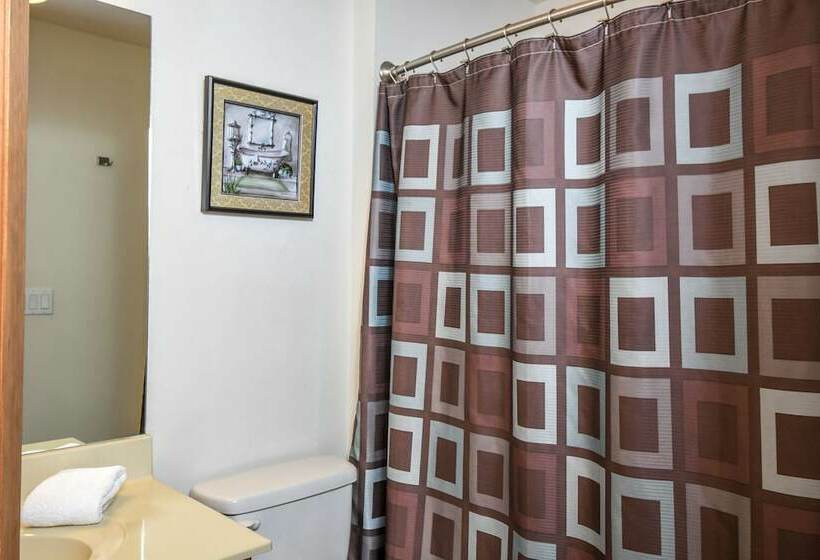 1ベッドルームハウス, Mountain Dreams