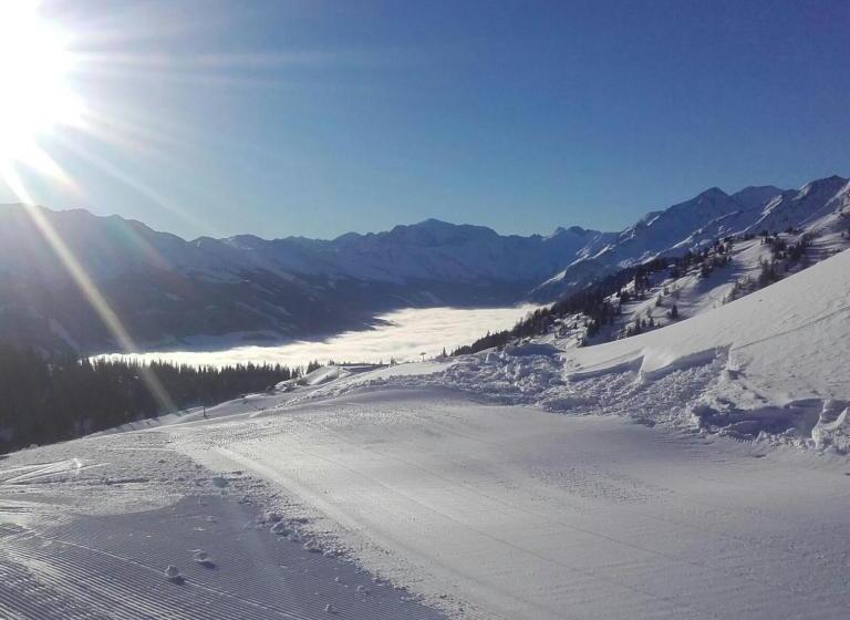 اتاق استاندارد سه نفره, Garni Wieshof