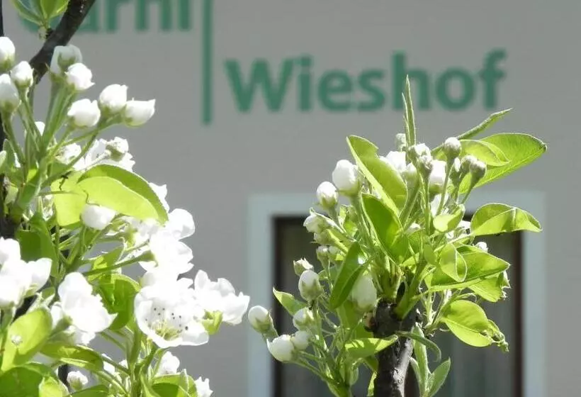 バルコニー付きデラックスルーム, Garni Wieshof