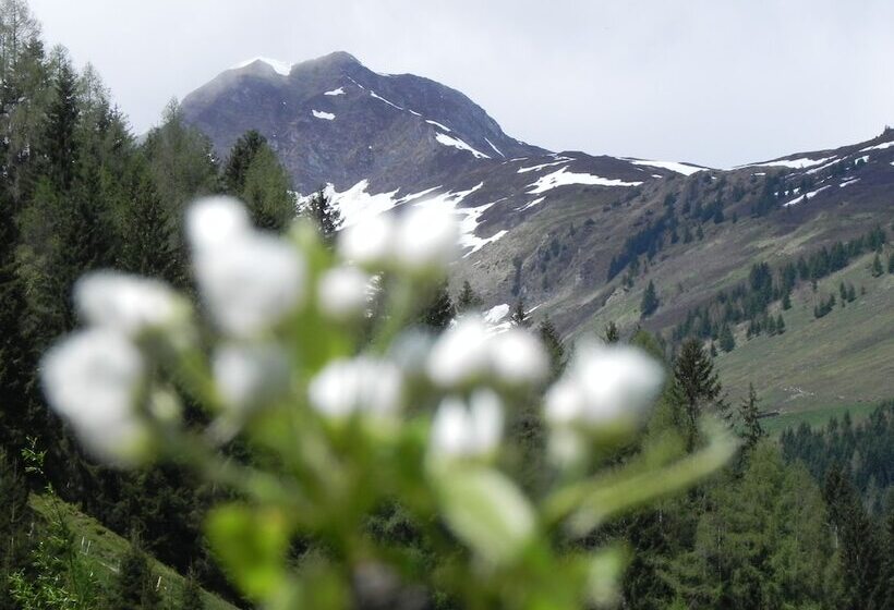 اتاق خانوادگی, Garni Wieshof