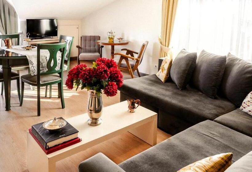 سوییت سوپریور با چشمانداز دریا, Cheya Beşiktaş Istanbul Bosphorus City Center Hotel & Suites