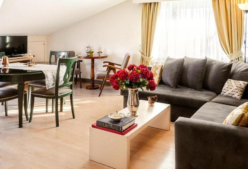 سوییت سوپریور با چشمانداز دریا, Cheya Beşiktaş Istanbul Bosphorus City Center Hotel & Suites