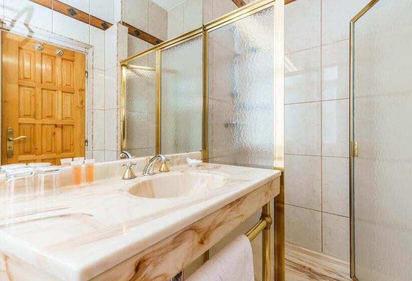 غرفة قياسية, Spa Hotel Anglický Dvůr