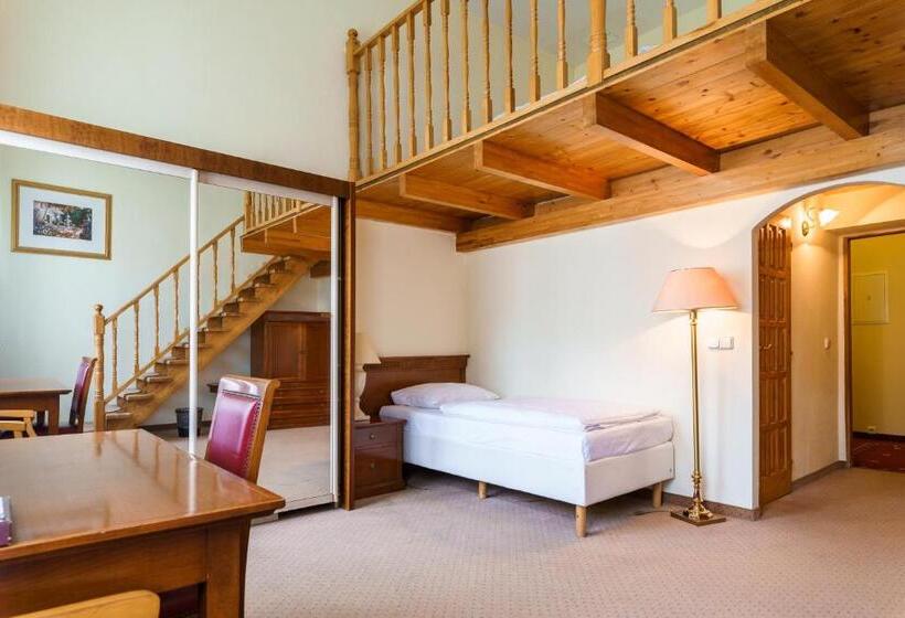 غرفة قياسية ثلاثية, Spa Hotel Anglický Dvůr