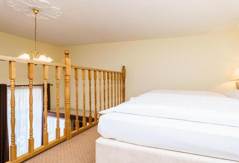 غرفة قياسية ثلاثية, Spa Hotel Anglický Dvůr