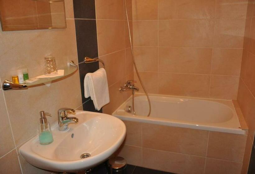 غرفة قياسية فردية, Lions Plzen