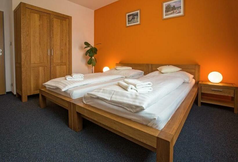 غرفة قياسية, Lions Plzen