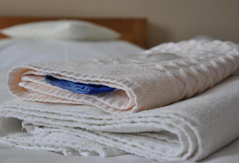 غرفة قياسية, Lions Plzen