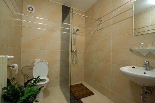 غرفة قياسية, Lions Plzen