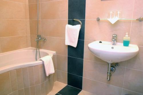 شقة غرفة واحدة, Lions Plzen