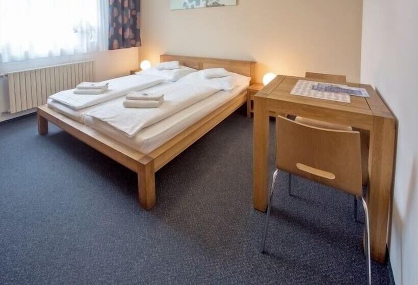 غرفة قياسية فردية, Lions Plzen