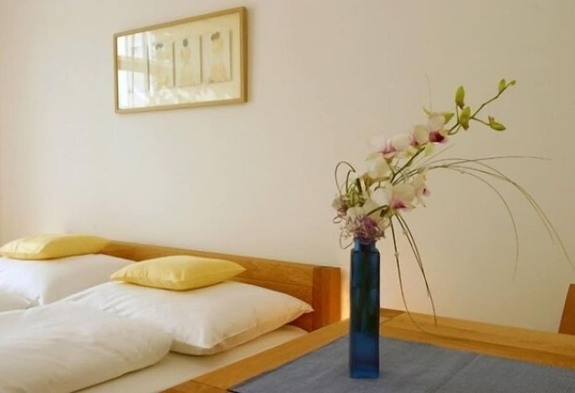 غرفة قياسية فردية, Lions Plzen