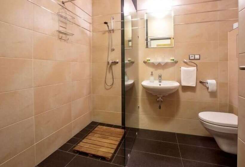 غرفة قياسية فردية, Lions Plzen