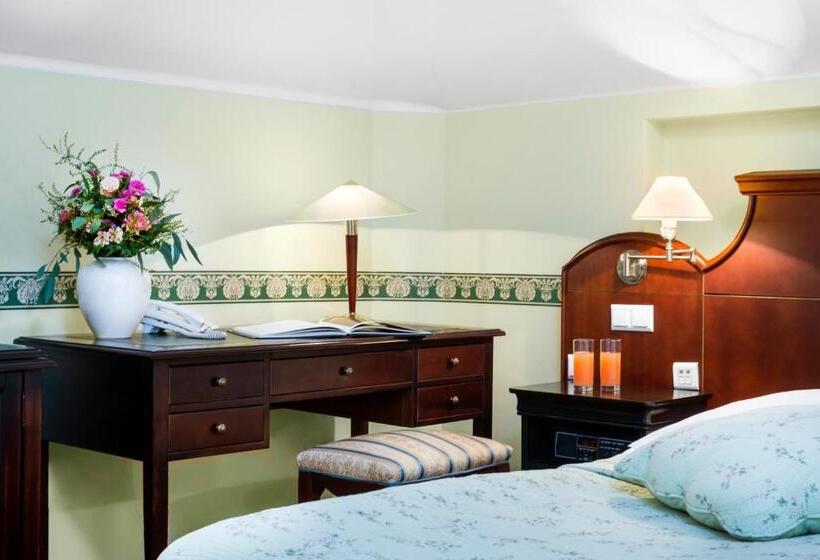 スタンダードルーム, Maltański