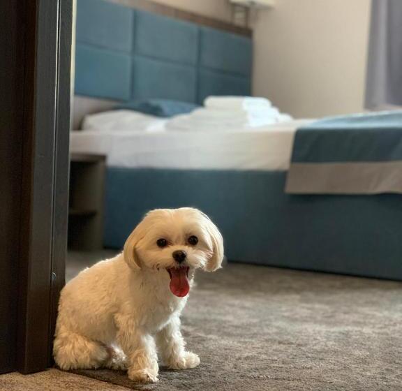 컴포트 룸, Sleep Wrocław