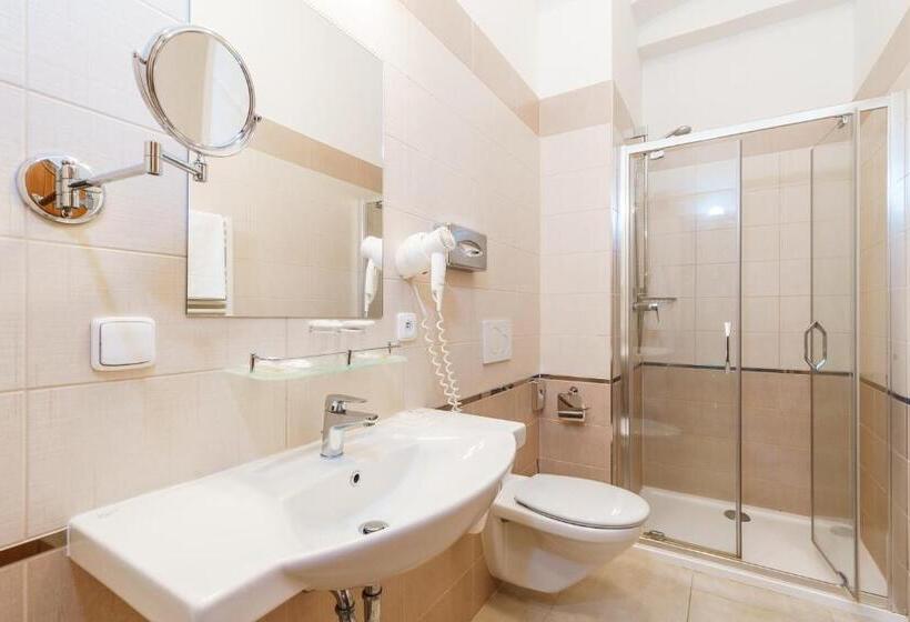 غرفة قياسية, Spa Hotel Anglický Dvůr